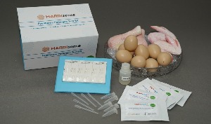 9. Lateral Flow Immunoassay (LFIA) Test Strip untuk Multi-Pengesanan Patogen Bawaan Makanan