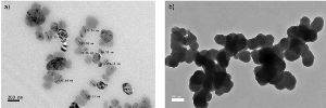 13. Enkapsulasi protein rekombinan SAR di dalam nanopartikel kitosan bagi pengurusan penyakit mati rosot betik