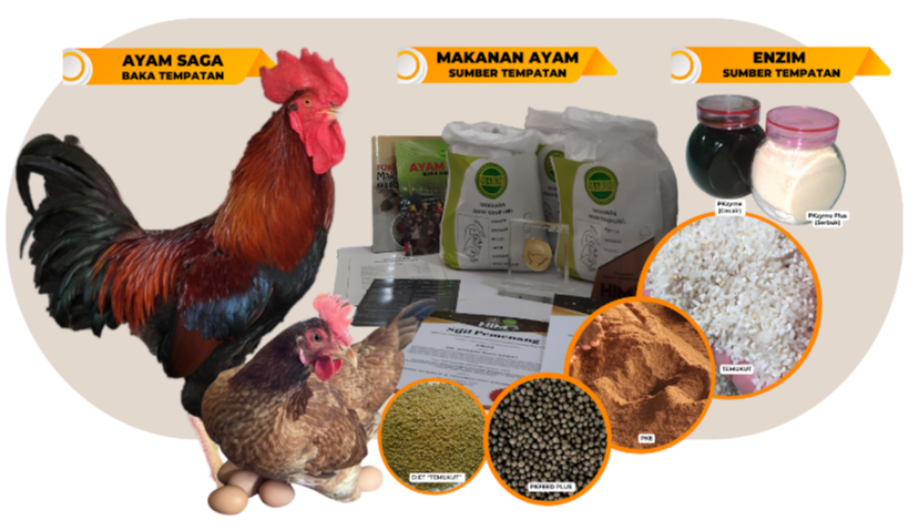 9. Teknologi Ayam SAGA dan formulasi makanan ayam berasaskan sumber tempatan untuk keterjaminan bekalan makanan dan makanan ternakan negara