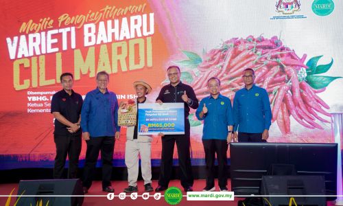 MARDI ISYTIHARKAN VARIETI BAHARU CILI YANG LEBIH TAHAN PENYAKIT DAN MAMPU MENINGKATKAN PENGELUARAN CILI DOMESTIK