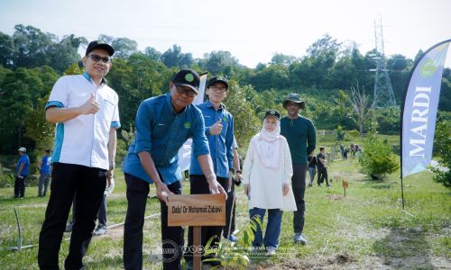 MARDI TANAM POKOK : PELANCONGAN HIJAU