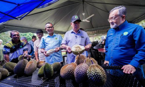 PENGKOMERSIALAN VARIETI DURIAN MARDI SUPER (MS88): MEMBUKA ERA BARU PASARAN DURIAN BERKUALITI TINGGI DI MALAYSIA